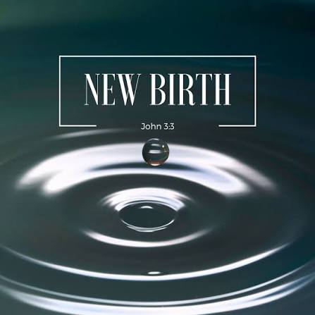 The Essence Of The New Birth