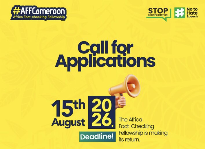 Africa Factchecking Fellowship logo