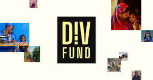 DIV Fund (Development Innovation Ventures) logo